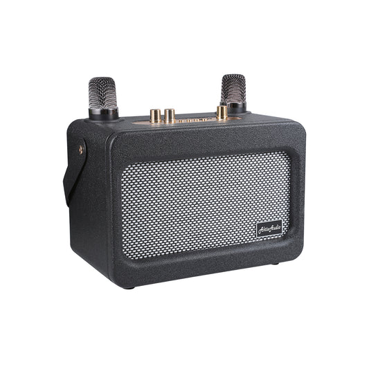 Aktiv Audio Vintage Sound Fusion